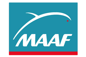 maaf